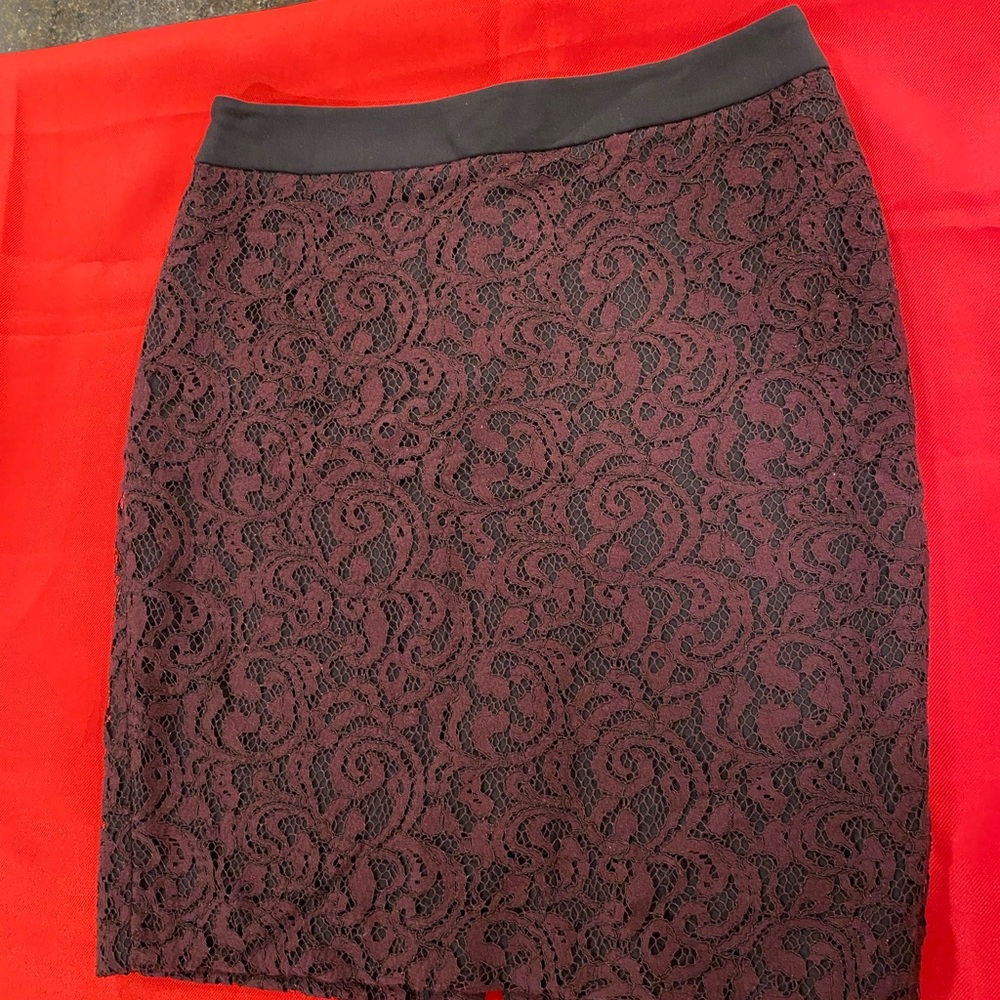 Ann Taylor Loft Mini Skirt
